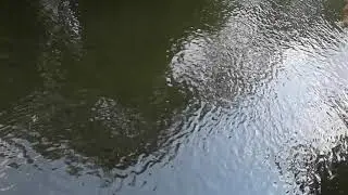 Fish reserviour  in meghalaya near rungram