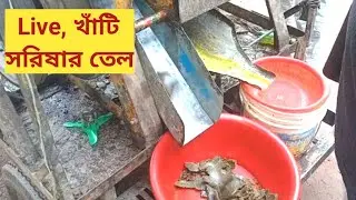 ভ্রাম্যমাণ তেলে ঘানি মেশিন। Live pure Mustard oil making. @CombinedFamily-pinak7 