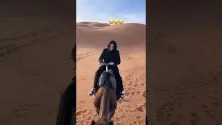Когда не изменяешь деловому стилю даже в пустыне #travel #travelvlog #morocco #sahara #путешествия