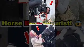 👉 Shocking Moment: King&rsquo;s Guard Horse Bites Tourist at Horse Guards Parade! 😱🐴