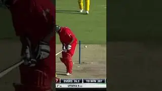 Happy Birthday Mitchell Starc 🎯 #shorts #cricket #ipl2023