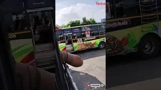 частный автобус и общественный автобус #поддержкаводителей #водителигрузовиков #опытводителейавто...