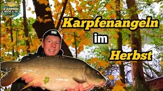 Karpfenangeln im Oktober