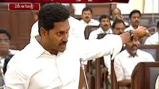 I Will Show My Power in Budget Discussion : YS Jagan