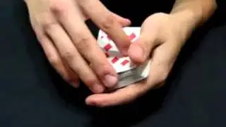 Card Toon 2