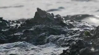 Dark sea coast close up, tracking shot | Free stock footage