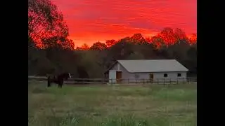 #sunrise #photography #equinephotography #georgia #horsesoftiktok #rodeo#barrelracer #farm#ranch