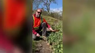 Esquimalt Parks: Highrock Park Tour
