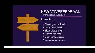 مقدمة في علم وظائف الاعضاء Introduction to physiology ( Homeostasis )