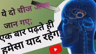 Brain rules: How to Increase Concentration and Memory Power || #viral #shorts