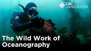 Diving deep to protect the ocean | The Wild Work of Conservationists