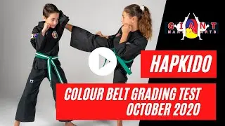 Hapkido Colour Belt Grading Test
