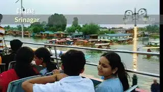 Dal Lake Srinagar: The Jewel of Kashmir | Must-Visit Tourist Spot in 2025