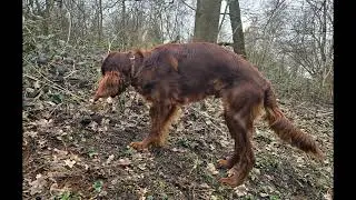Benjyno wird 8 Monate