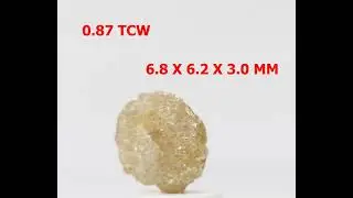 RARE DIAMOND 0.87CT ORANGE YELLOW COLOR NATURAL CIRCULAR DISC SHAPE FOR GIFT