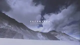 pacovideo con nuevo logo 2 0