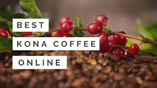 Best Kona Coffee Online (100% Pure and Organic)