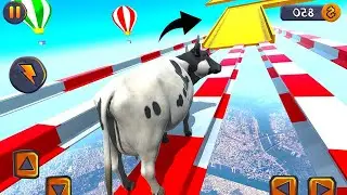 EPIC COW RAMP RUN - The Death march of The Buffalo (Cow Racing Gameplay)!