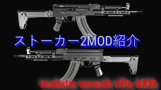 【PC】【STALKER2】【MOD紹介】銃器MOD modular assault rifle AKM 銃器三種類追加+アタッチメント ストーカー2