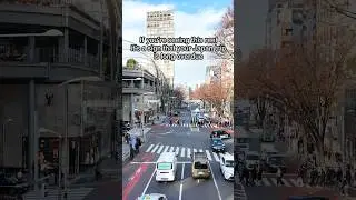 Are u planning to visit Japan in 2026? #japan #travel #trip #explore #tokyo