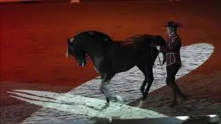 Andalúz fiesta 2017 - Riendas largas