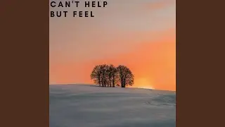 Can't Help but Feel