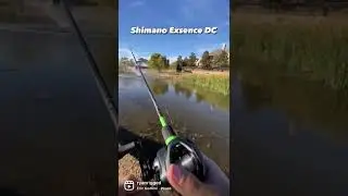 The DC reel with CLICKING drag!😳