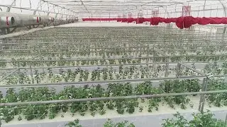 Sam Agro Biotech - Infrastructure video