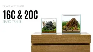 Aquascaping Nano Tanks ft. UNS 16C & 20C Aquariums