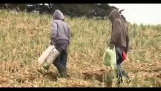 Agricultores y docentes marcharán desde San José hasta Casa Presidencial: ¿Por qué?
