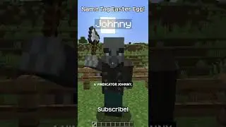 Do Not!!! Name A Vindicator Johnny In Minecraft!