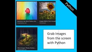 How to grab images from the screen with python