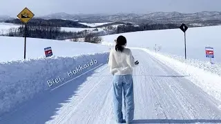삿포로 직장인 브이로그 ㅣ 혼자 떠나는 당일치기 비에이 여행 🌲❄️🐾