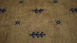 Hand Knotted Loom Silk Mix 8'x10' Area Rug Contemporary Orange Brown LSM501