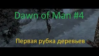 Dawn of Man #4 Hardcore Cеверные земли