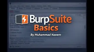 Основы BurpSuite | Как перехватывать HTTP-запросы