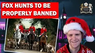 Fox Hunting Ban Coming - Here's Why