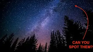 Can You Spot Them All? 🌠 1 Hour of Hidden Shooting Stars | Relaxing Night Forest