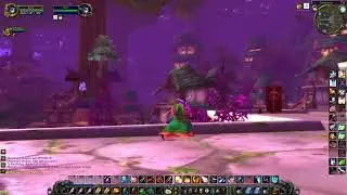 Ikiris lvl 25 - 26 questing Ashenvale Stonetalon Mountains