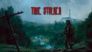 True Stalker Прохождение №6