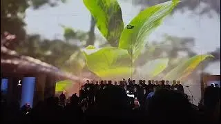 Actuaci&oacute;n Coral San Esteban Burgos 2031
