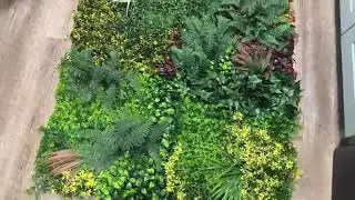 Gorgeous grass wall panels for indoor and outdoor decor (www.foszmac.com)