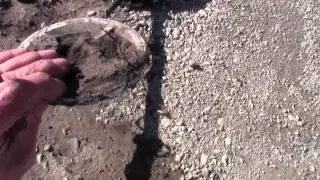 Another park construction dig metal detecting treasure hunting