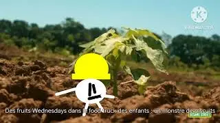 Foodie truck cookie monster in french dame tu cosita m&aacute;s Bus rush - Gladis Rodriguez Martinez 
