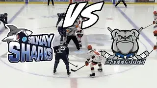 Sharks v Steeldogs 09 01 26 Highlights