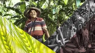 Agricultura al D&iacute;a - Nairo Quintana, embajador del agro colombiano