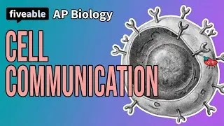 AP Biology - Cell Communication & Signal Transduction