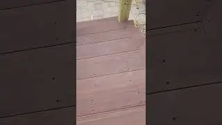 Como atornillar deck timber tech 😱 #shortvideo #construction #timbertech #deck #deckdesign #work.
