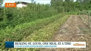 How the North Sarah Food Hub heals St. Louis one meal at a time