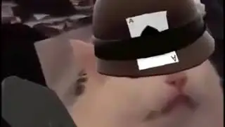 tf2 cat scream